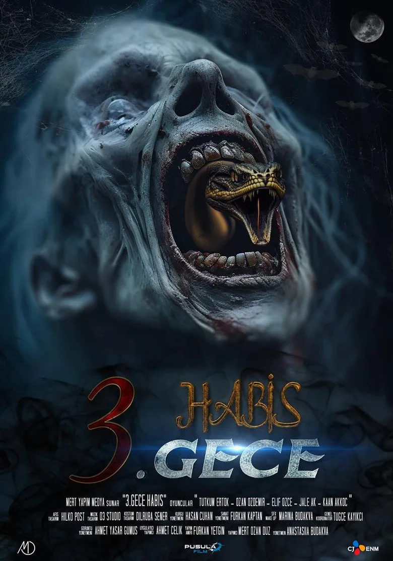 3. Gece Habis film afişi