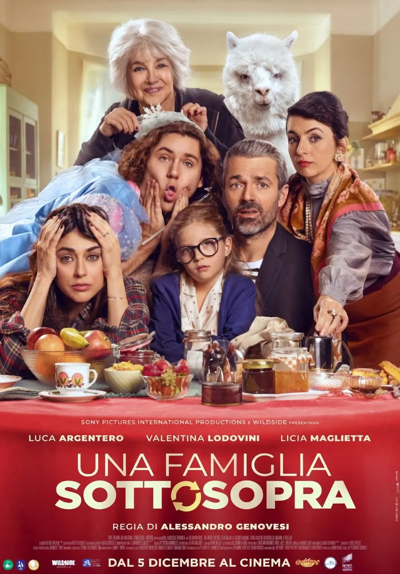 Allak Bullak Bir Aile film afişi