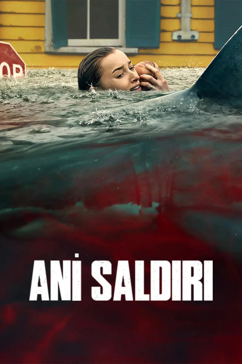 Ani Saldırı film afişi