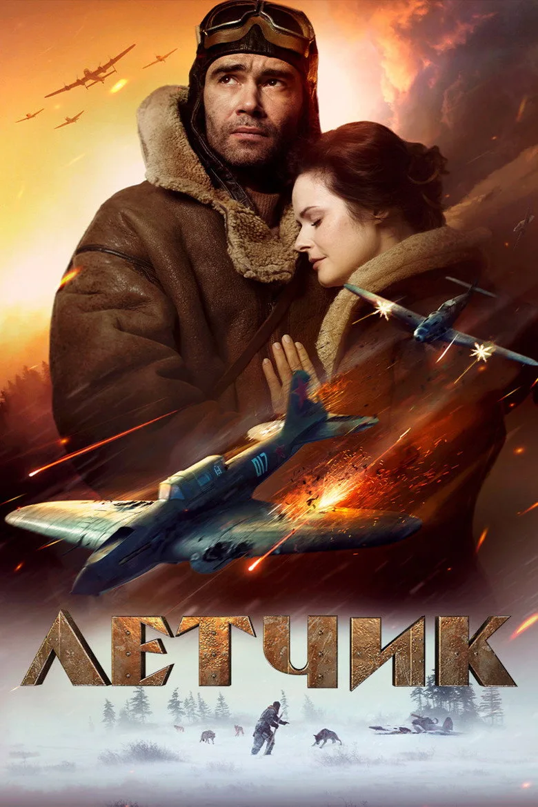 Bir Pilotun Hayatta Kalma Mücadelesi film afişi