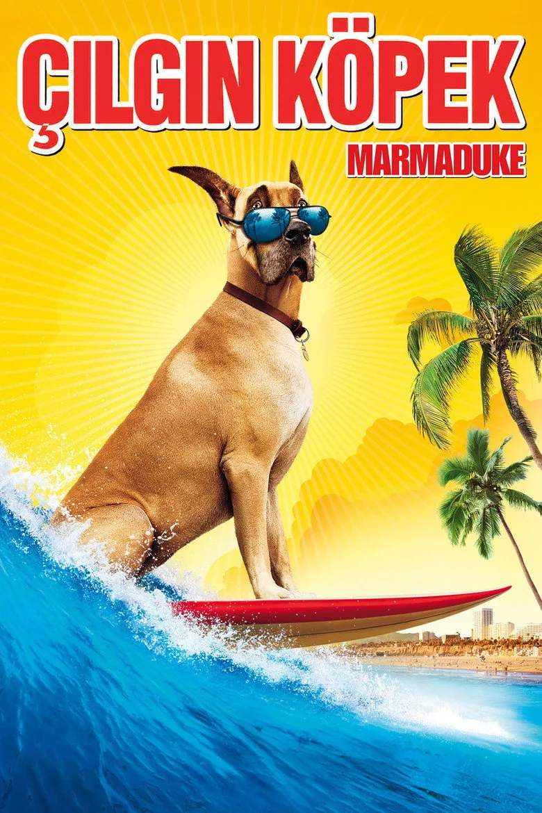 Çılgın Köpek film afişi