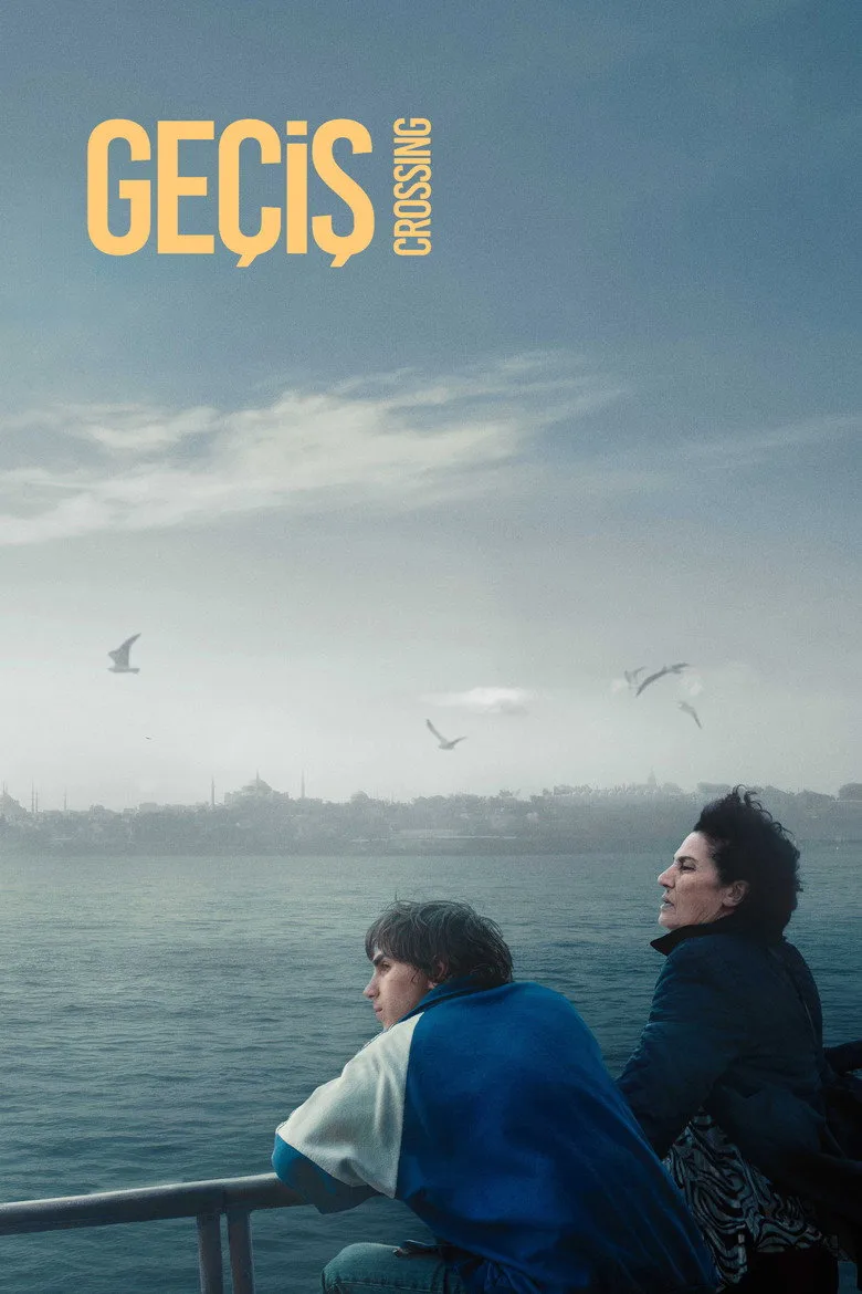Geçiş film afişi