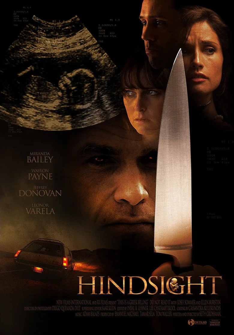 Hindsight film afişi