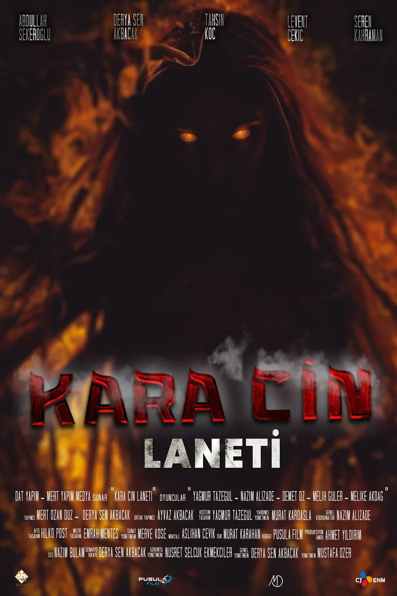 Kara Cin Laneti film afişi