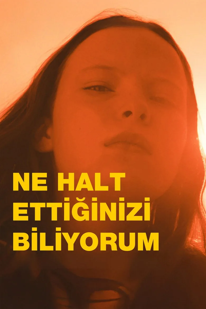 Ne Halt Ettiğinizi Biliyorum film afişi