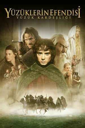Yüzüklerin Efendisi: Yüzük Kardeşliği film afişi