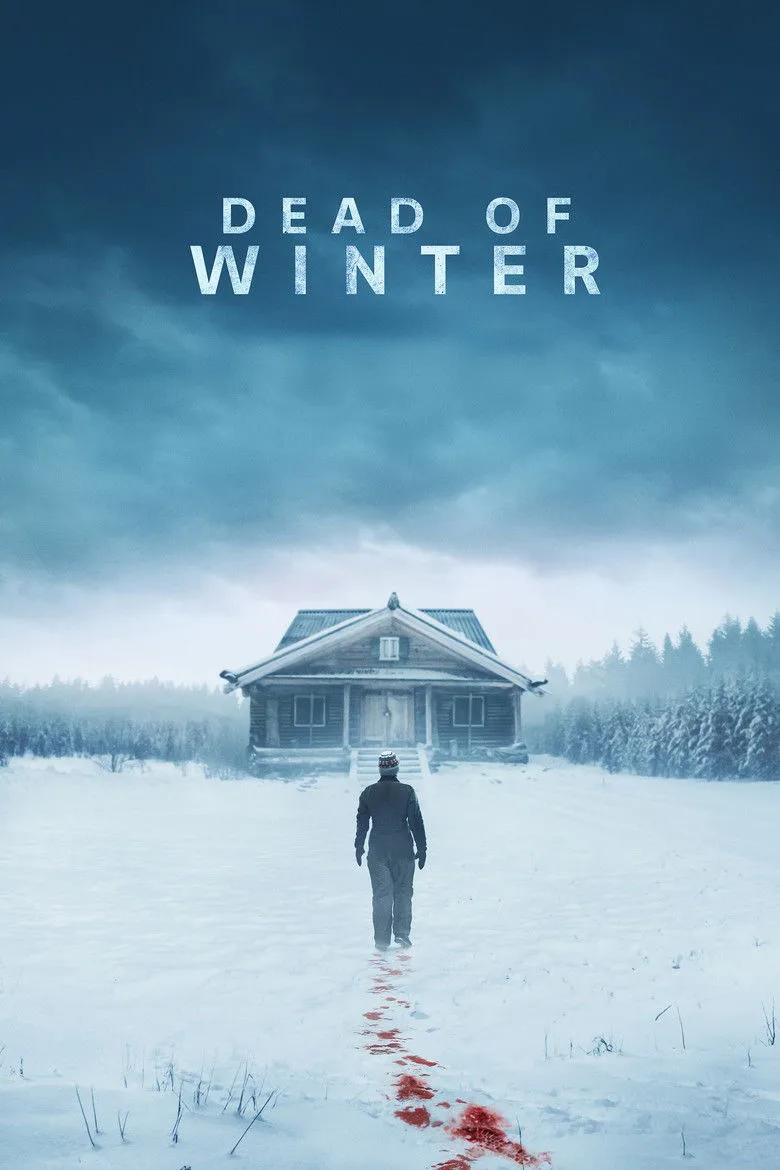 Zemheri film afişi